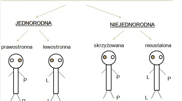 Zaburzenia lateralizacji objawy – jak rozpoznać i wpłynąć na codzienne życie?