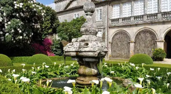 Jardín del Pazo de Oca con fuente de piedra y calas blancas, rodeado de setos y un gran rododendro en flor.