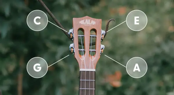 G-C-E-A - tak nastroić ukulele sopranowe. Poznaj dźwięki strun swojego instrumentu.