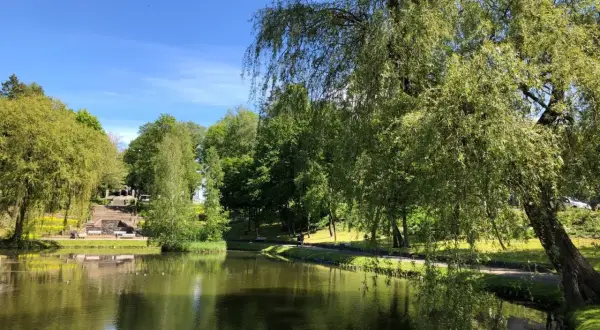 Spokojny staw w pradolinie Redy Łeby, otoczony zielenią i drzewami. W oddali schody prowadzące na wzgórze.