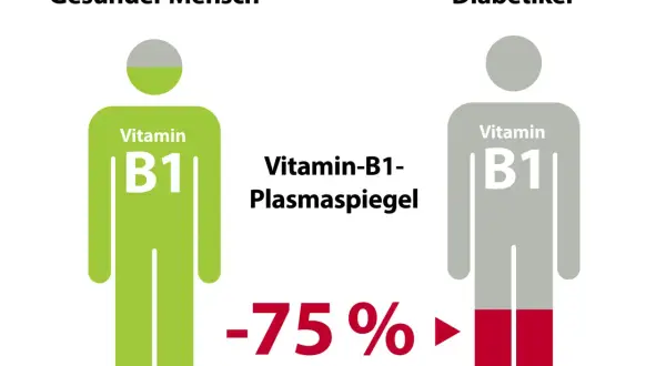 Vergleich Vitamin B1-Plasmaspiegel: Gesunder Mensch (grün) vs. Diabetiker (grau). Diabetiker zeigen -75% weniger Vitamin B1, was auf einen Mangel hindeuten kann.