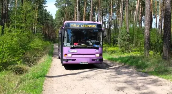 Jak oznakować holowane auto? Uniknij mandatu i jedź bezpiecznie!
