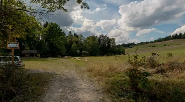 Stadnina koni Toporzysko - odkryj wyjątkowe jazdy i atrakcje