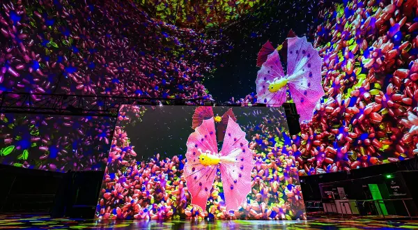 Im Wuppertal Visiodrom entfaltet sich eine bunte Welt aus leuchtenden Blumen und einem schillernden Falter.