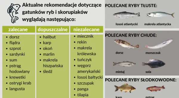 Szukasz informacji, jaka ryba dla niemowlaka jest najlepsza? Na liście "zalecane" znajdziesz dorsza, flądrę, szprota, sardynki.