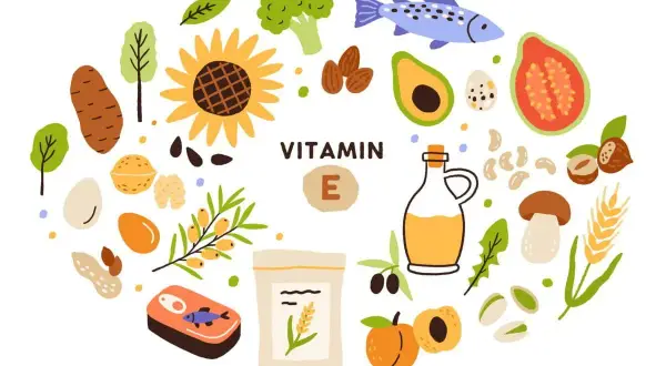 Vitamin E: Sonnenblumen, Nüsse, Avocado, Fisch und mehr. Diese Lebensmittel sind reich an Vitamin E, das die Haut vor der Sonne schützt.