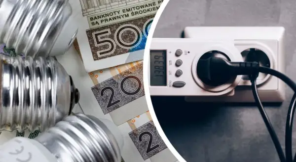 Żarówki i polskie banknoty obok licznika energii elektrycznej. Zastanawiasz się, ile kwh zużywa dom dziennie?