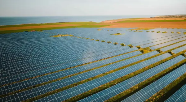 Vasta distesa di pannelli solari su un prato, con il mare all'orizzonte. La loro durata è un investimento a lungo termine per l'energia pulita.