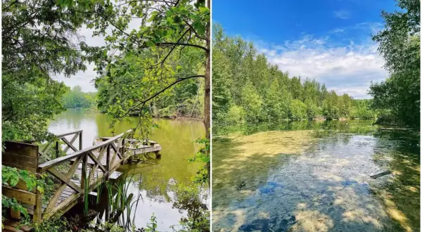 Idyllische Seenlandschaft mit Holzsteg am ASV Bensberg. Grüne Ufer und klares Wasser laden zum Verweilen ein.