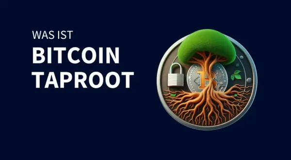 Ein Baum mit Wurzeln, die aus einem Bitcoin-Symbol wachsen, und einem Vorhängeschloss. Das Bild erklärt "Was ist Bitcoin Taproot".