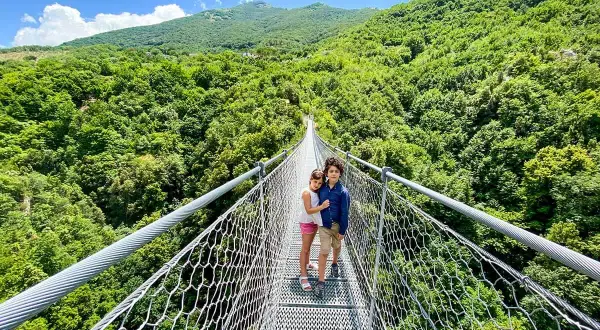 Bambini su un percorso ponte tibetano, circondati da una lussureggiante foresta verde sotto un cielo azzurro.