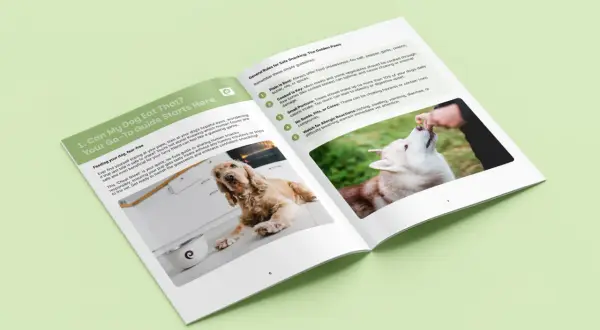 A guide on what vegetables dogs can eat, featuring a Cocker Spaniel and a Husky being fed treats.