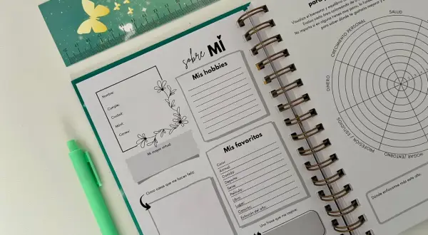 Agenda abierta con secciones para hobbies, favoritos y metas. Incluye un gráfico de áreas de vida y un espacio para planificar los **trimestres del año**.