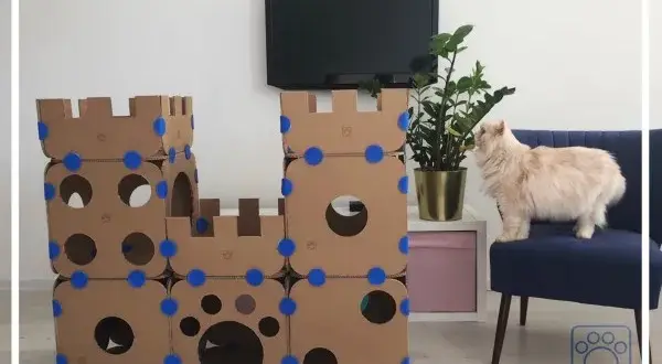Domek dla kota z kartonu: Stwórz azyl, który pokocha Twój kot!