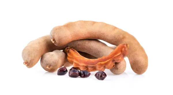 Tamarindfrukter och frön, redo för ett spännande tamarindpasta recept.