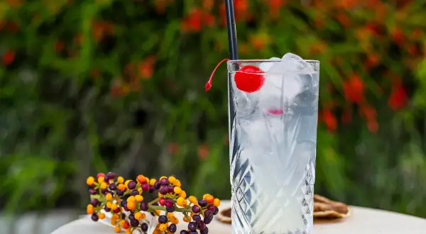 Gin Collins: La Ricetta Perfetta e i Segreti per un Drink da Bar