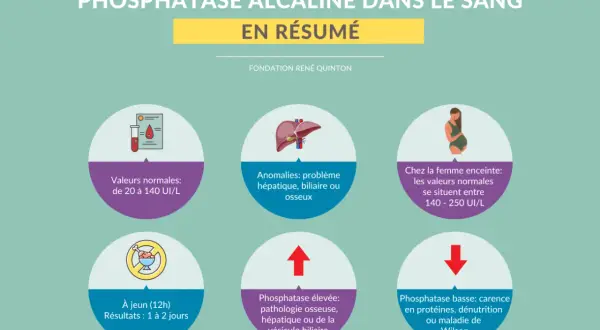 Résumé sur la phosphatase alcaline : valeurs normales, anomalies hépatiques/biliaires/osseuses, valeurs chez la femme enceinte, et causes d'une phosphatase élevée ou basse.