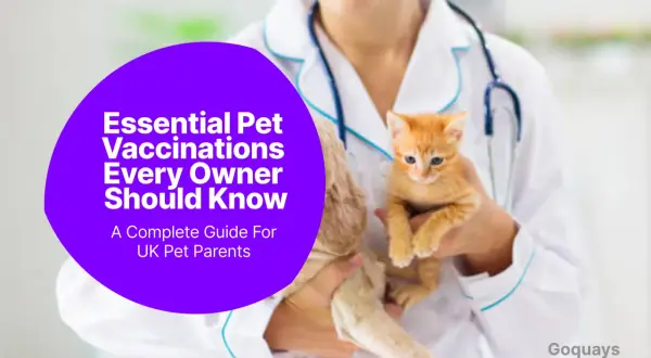 A veterinarian holds a kitten, discussing essential veterinary vaccines for pet parents.