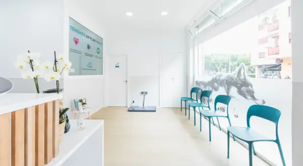 Clínica veterinaria Los Cuartos: servicios, opiniones y ubicación