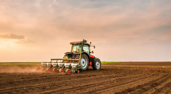Traktor sieje rzepak na polu. Wschodzące słońce maluje niebo na pomarańczowo, tworząc malowniczy krajobraz.