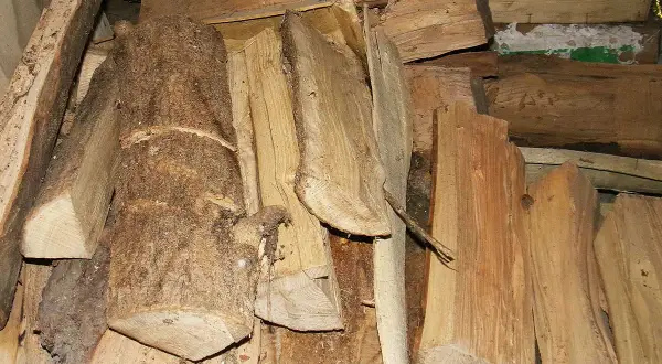 Gros tas de bois empilé, en attente de séchage. Des bûches brutes côtoient des morceaux plus fins, prêts pour le feu.