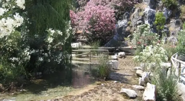 El nacimiento del río Molinos, un arroyo cristalino entre rocas y flores rosas y blancas, con un puente de madera.