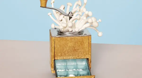 Een oude koffiemolen met paddenstoelen, die de essentie van wat is microdosing illustreert: kleine, gecontroleerde doses voor een subtiel effect.