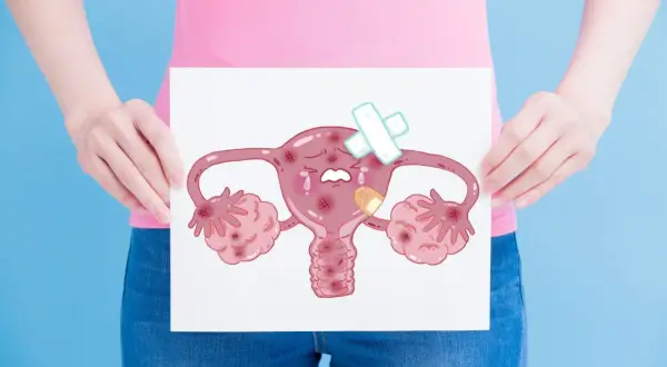 Smutna, zaklejona plastrami macica dwurożna z ranami i łzami.
