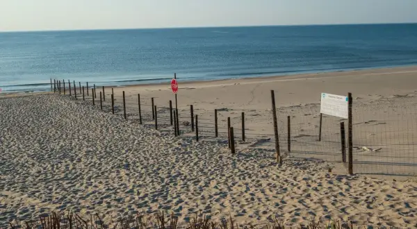 Plaża z siatką i znakiem stop, wyznaczająca granicę polsko rosyjską. Morze w tle.