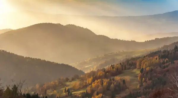 Jesienne słońce rozświetla malownicze wzgórza Beskidu Sądeckiego. Złote liście drzew i mgła tworzą magiczny krajobraz, idealny na odkrywanie beskid sądecki atrakcje.