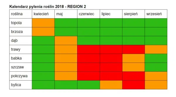 Co pyli w czerwcu? Alergia na trawy i inne pyłki jak sobie radzić