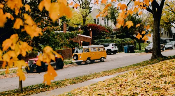 Herbstliche Reiseziele in Europa mit dem Auto: Ein gelber VW-Bus und ein Jeep parken auf einer Straße, gesäumt von bunten Herbstblättern.