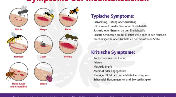 Übersicht über Symptome bei Insektenstichen: Wann zum Arzt? Typische und kritische Anzeichen werden erklärt, um die richtige Reaktion zu finden.