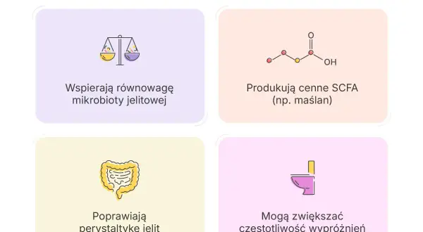 Probiotyk na zaparcia: wspiera mikrobiotę, produkuje SCFA, poprawia perystaltykę jelit i może zwiększać częstotliwość wypróżnień.