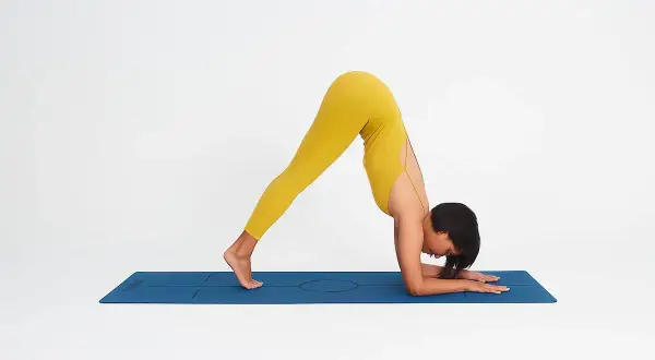 Mujer en postura del delfín yoga, con cuerpo en V invertida, apoyada en antebrazos y pies.