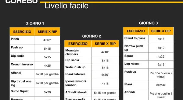 Programma di allenamento a casa per aumentare la massa muscolare, livello facile. Giorni 1, 2 e 3 con esercizi e serie.