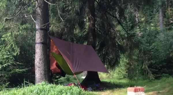 Zadaszenie namiotu z zielonej i brązowej plandeki, zawieszone między drzewami w lesie. Pod nim leżą śpiwory i plecaki.