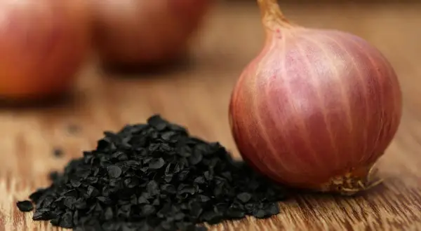 Kupa czarnych nasion cebuli obok czerwonej cebuli.