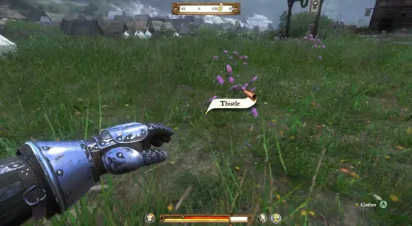 W grze Kingdom Come: Deliverance, zbieranie ostów to podstawa poradników do gier. Postać w zbroi zbliża się do fioletowych kwiatów.