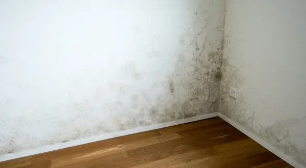 Esquina de habitación con moho en la pared, indicando la necesidad de saber como aislar una pared de la humedad.