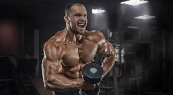 Jakie odżywki na crossfit pomogą Ci osiągnąć lepsze wyniki?