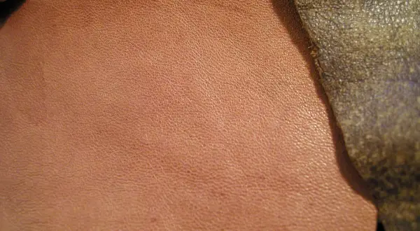 Texture d'un cuir d'agneau plongé, d'une teinte rosée, contrastant avec un cuir plus sombre et rugueux.