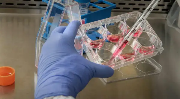 Jakie są dziedziny biologii? Poznaj fascynujące specjalizacje!