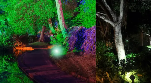 Magiczny park nocą. Oświetlenie drzew od dołu tworzy surrealistyczny, kolorowy krajobraz z zielenią, fioletem i białym światłem.