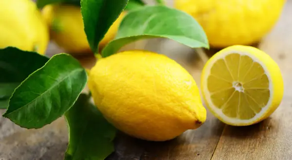 Frische Zitronen mit grünen Blättern auf Holz. Eine Zitrone ist halbiert. Interessant, wieviel Vitamin C hat eine Zitrone?