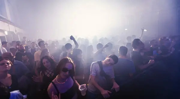 Folla in delirio a un festival di musica elettronica in Italia, immersa nel fumo e nella luce.