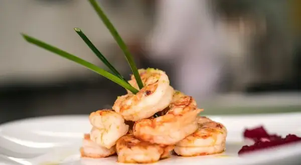 Gdzie zjeść w Kościerzynie? Odkryj najlepsze restauracje i smaki