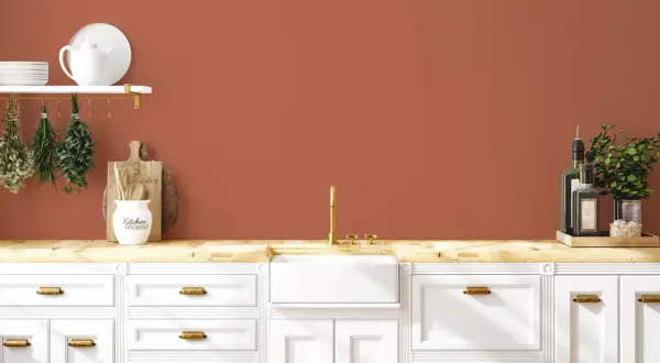 Warme Küche mit Wandfarbe in Terracotta-Farbpalette. Weiße Schränke, Holzoberfläche, Spüle und goldene Armatur.