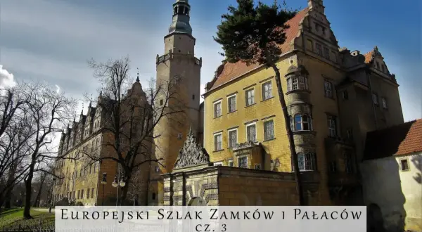 Najlepsze atrakcje w Oleśnicy, które musisz zobaczyć podczas wizyty
