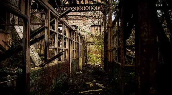 Intérieur délabré d'une usine abandonnée, vestige d'un **urbex Bourges**. Végétation envahissante, poutres rouillées et murs de briques en ruine.